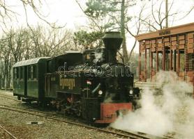 20 db modern magyar kisvasút motívumlap / 20 modern Hungarian narrow-gauge railway motive cards, tra...