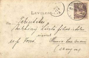 1901 Déva, Deva; látkép / general view. photo (EK)