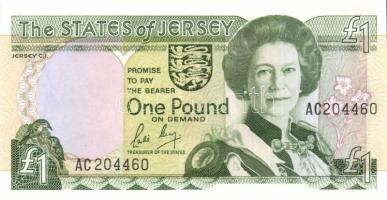 Jersey 1989. 1Ł T:I