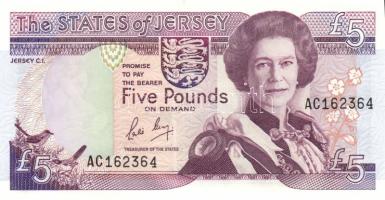 Jersey 1989. 5Ł T:I