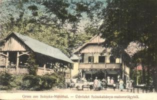 Szászkabánya, Sasca Montana, Mühlthal; Malom-völgy, étterem. Franz Krisch kiadása / valley restaurant  (EK)