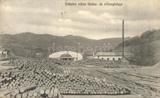 Dobsina, Városi Fűrész és villanytelep / sawmill and power station, plant  (EK)