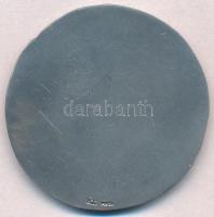 Olaszország DN "CAMERA DI COMMERCIO INDUSTRIA ARTIGIANATO E AGRICOLTURA - TRENTO (Kézművesipari...