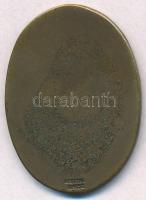 Csanak József (1887-1946) 1931. "1921-1931 Magyar Cserkész Szövetség IX. Kerülete Debrecen"...