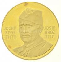 Jugoszlávia 1973. Demokratikus Föderatív Jugoszláv Köztársaság megalakulásának 30. évfordulója / Josip Broz Tito jelzett Au emlékérem (14,03g/0.900/28mm) T:2(PP) karc, fo. Yugoslavia 1973. 30th Anniversary - Democratic Federal Republic of Yugoslavia / Josip Broz Tito hallmarked Au commemorative medal (14,03g/0.900/28mm) C:XF(PP) scratched, spotted