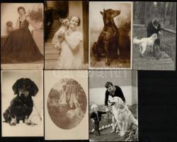 Kutyákról készült felvételek tétele, 13 db vintage fotó különféle korokból, 14,5x10 cm és 8x12,5 cm között