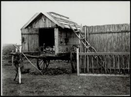 cca 1925 Bugac-puszta, pecséttel jelzett és feliratozott vintage fotó + 2 db vintage negatívról kész...