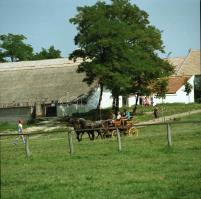 cca 1970 Balatoni professzionális felvételek - Tihany, Tapolca, Széplak, Füred, Földvár -, 21 db sza...