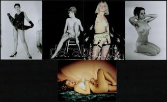 cca 1975 Talán-talán ez a lány, 13 db szolidan erotikus fénykép, mai nagyítások, 12,5x9 cm