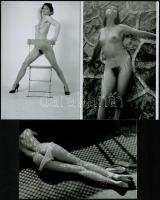 cca 1969 Csinibabák, 6 db szolidan erotikus fénykép, mai nagyítások, 10x15 cm