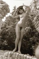 cca 1975 Műemlék védő, 14 db szabadon felhasználható vintage negatív, 24x36 mm