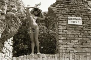 cca 1975 Műemlék védő, 14 db szabadon felhasználható vintage negatív, 24x36 mm