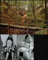 cca 1989 Menesdorfer Lajos (1941-2005) budapesti fotóművész hagyatékából 2 db vintage fénykép + 2 db...