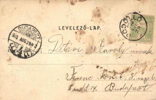 Gödöllő, Ferenc József király és vadásztársasága lelőtt fácánokkal / Le roi et sa compagnie de chass...