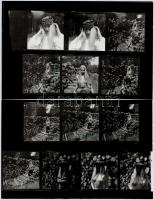 cca 1987 Menesdorfer Lajos (1941-2005) budapesti fotóművész hagyatékából 26 db nézőkép és 1 db jelzett, vintage nagyítás, 6x6 cm és 20,5x29 cm között