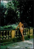 cca 1988 Menesdorfer Lajos (1941-2005) budapesti fotóművész hagyatékából 2 db vintage fénykép, az eg...