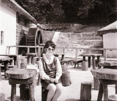 1964 Göcseji vízimalom, 2 db szabadon felhasználható vintage negatív, 6x6 cm / water mill, 2 photo negatives