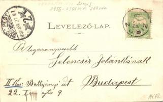 Zirc, Erzsébet kórház, Csesznek vára. Mandausz János kiadása