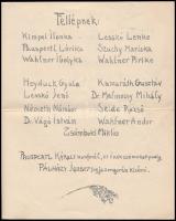 1913 Budapest I. Krisztinavárosi Mimóza kabaré. Kézzel sokszorosított meghívó