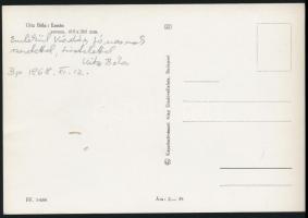 Uitz Béla festőművész saját kézzel írt sorai saját mávét ábrázoló Lenin képeslapon