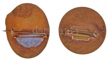 DN "Fejért Megye Természetjárója" zománcozott fém jelvény (17x21mm) + "Magyar Termész...