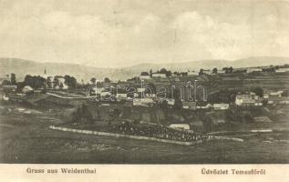 Temesfő, Weidenthal, Brebu Nou, Vaidental; látkép temetővel / panorama view with cemetery. Photographie von R. Speck (EK)