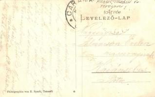 Temesfő, Weidenthal, Brebu Nou, Vaidental; látkép temetővel / panorama view with cemetery. Photograp...