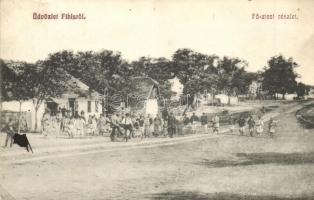 Temesfüves, Fibis; Fő utca falubeliekkel, kerékpáros. Ernyei Mór kiadása / main street with villagers and one man on bicycle (EK)
