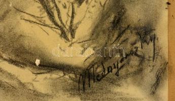 Mednyánszky jelzéssel: Erdei ösvény. Szén, papír, üvegezett keretben, 42×30 cm