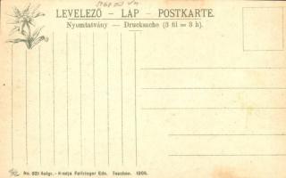 Tátra, Fehérvíz-völgy, vadászház és Kress kút. Feitzinger Ede No. 921. 1905. / Weisswassertal, Jagdh...