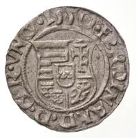 1550K-B Denár Ag "I. Ferdinánd" (0,5g) T:1-
Hungary 1550K-B Denar Ag "Ferdinand I&qu...
