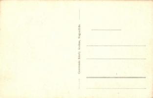 Nagyszőlős, Nagyszőllős, Vynohradiv, Sevlus (Sevljus); Állami elemi iskola. Czukermán Károly kiadása...