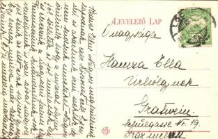 Tátra, Téli kép a fák között, szálloda a háttérben. Divald Károly 2076-1909. / winter, hotel in the ...