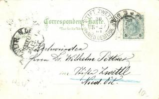 Ceské Budejovice, Budweis; Stegmann, Bez.-Armenhaus, Amtshaus, Jüdischer Tempel, Zukünftiges Jistizp...