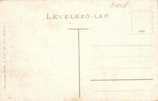 Szolnok, látkép zsinagógával. Judaica