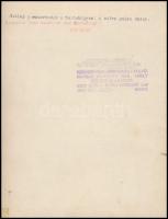 cca 1920-1940 Kerny István (1879-1963): Szilaj pásztorkodás a Hortobágyon, A cifra gulya delel, pecs...