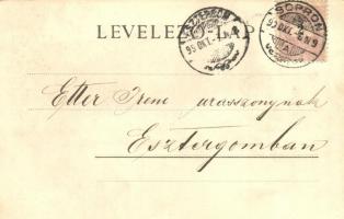 1899 Sopron, Városliget a Városligeti Vendéglővel / Villen, Resaturation. L. Kummert No. 95