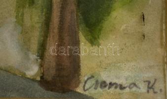 Cserna jelzéssel: Pálmafák a hídnál. Akvarell, papír, üvegezett keretben, 28×38 cm