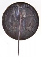 Homonnay Jenő (1883-?) DN "Egyesült Keresztény Nemzeti Liga" Cu kitűző függőleges tűvel (2...