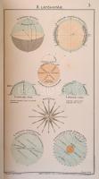 1906 Dr. Brózik Károly: Nagy magyar atlasz. A Magyar Földrajzi Társaság. Megbízásából Erődi Béla és ...