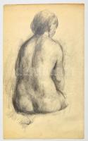 Szőnyi jelzéssel: Női akt háttal. Ceruza, papír, 35×22 cm