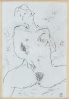 Biró Gábor (1955-): Erotikus ceruzarajz. Jelzett. Üvegezett keretben. 11x15 cm