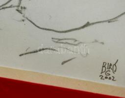 Biró Gábor (1955-): Erotikus ceruzarajz. Jelzett. Üvegezett keretben. 11x15 cm