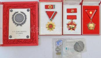 Cipősdoboznyi vegyes jelvény, kitüntetés és plakett tétel főleg a szocializmus időszakából, közte &q...
