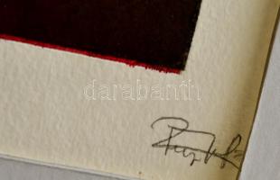 Olvashatatlan jelzéssel: Embrió, rézkarc, papír, jelzett, paszpartuban, 28,5×17 cm