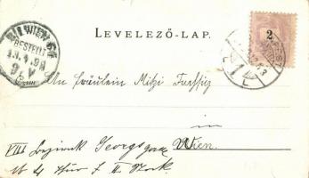 1899 Budapest VIII. M. k. Honvéd Ludovika Akadémia, Ludoviceum. Walter Haertel (kis szakadás / small...