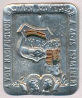 1948. VHBS 1848-1948 - A volt hadifoglyok bajtársi szövetsége a 48-as eszmékért festett Al jelvény (52x61mm) T:2 tűhiány