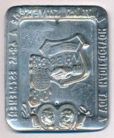 1948. "VHBS 1848-1948 - A volt hadifoglyok bajtársi szövetsége a 48-as eszmékért" festett ...