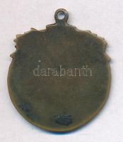 Lőrincz István (1901-1985) DN "Egri nők(?)" Br medál (28x33mm) T:2