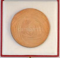 Kampfl József (1938- ) 1992. "Pro Sanitate" Br plakett, eredeti tokban (97mm) T:1-